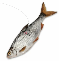 #2 Quantum Mr. Pike Ghost Traces Float Rig White 50cm 1pcs