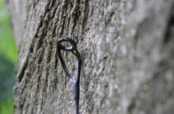 Ashima Travel FFX-S 10ft 3m 3.25Lb -Viswinkel 4a7d69384d52c63c