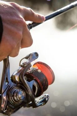 Ultimate Chikara Spider 2500 -Viswinkel ddbb3cf21b4b1e6e