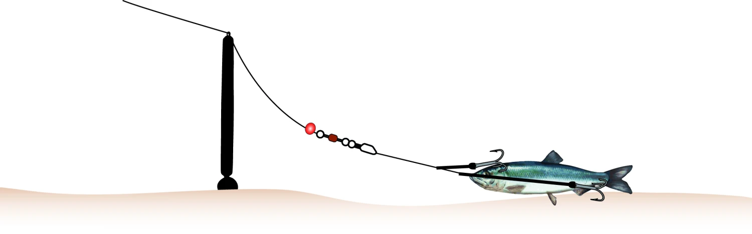 Balzer MK Adventure Deadbait Bottom Fishing Set 3 1 Balzer MK Adventure Deadbait Bottom Fishing Set 3