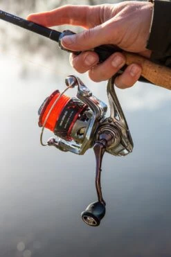 Ultimate Chikara Spider 2500 -Viswinkel f00d2dbbd70ddbd9