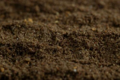 Sticky Baits Bloodworm Active Mix 2,5kg 6 Sticky Baits Bloodworm Active Mix 2,5kg -Viswinkel f5df11f3c655d8a3