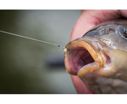 Matrix MXC-6 Barbless Eyed Witvishaken (10st) Maat 14 1 Matrix MXC-6 Barbless Eyed Witvishaken (10st) Maat 14